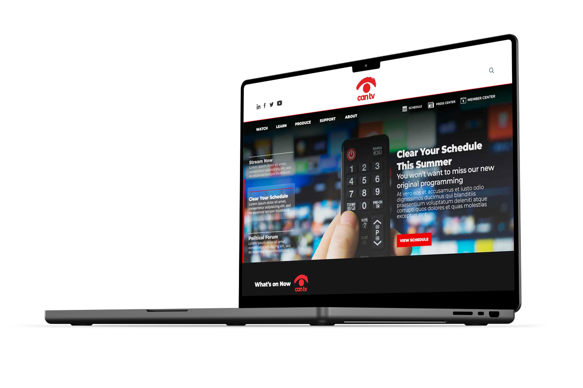 Chicago Access Network Television